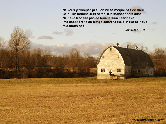 La panacée des impuissances